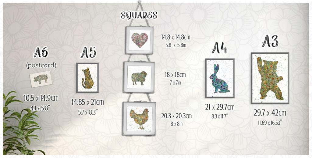 Wild Within Size Guide