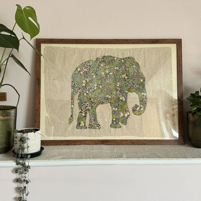 Asian Elephant - A1