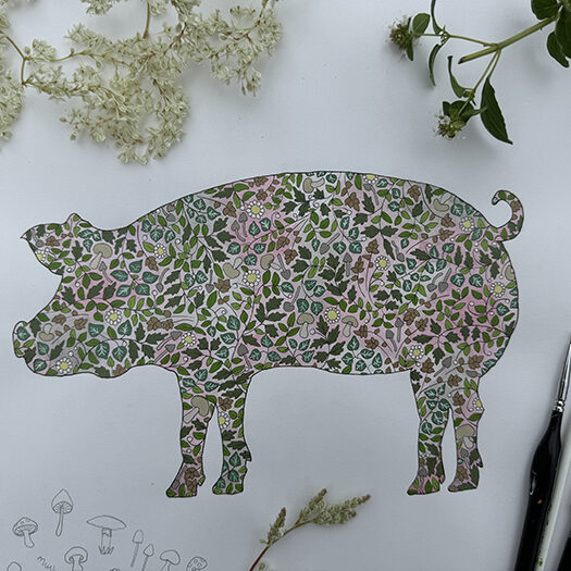 Pig - A3