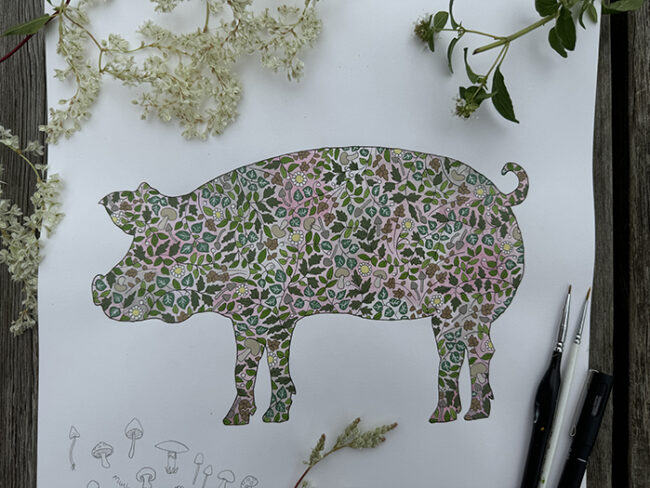 Pig - A3