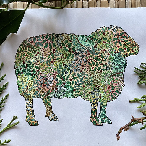 Sheep - A4