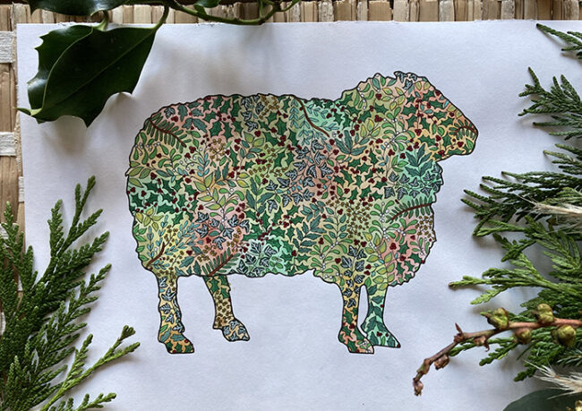Sheep - A4
